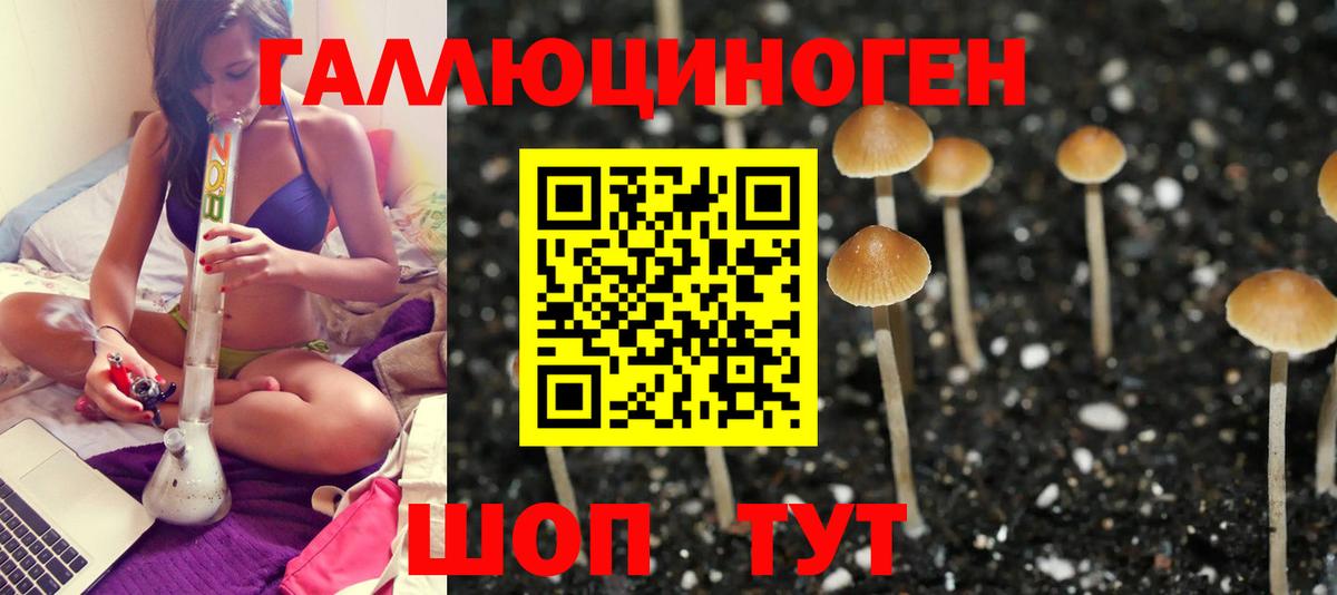 Псилоцибиновые грибы GOLDEN TEACHER  Псилоцибиновые грибы Cubensis  Вход с VPN  Аргун 